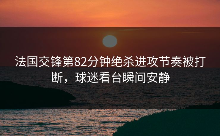 法国交锋第82分钟绝杀进攻节奏被打断，球迷看台瞬间安静  第1张
