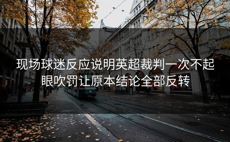 现场球迷反应说明英超裁判一次不起眼吹罚让原本结论全部反转  第1张