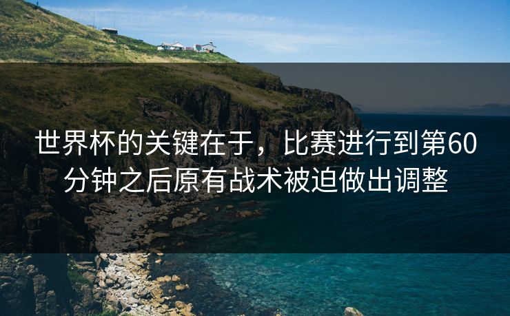 世界杯的关键在于，比赛进行到第60分钟之后原有战术被迫做出调整  第1张
